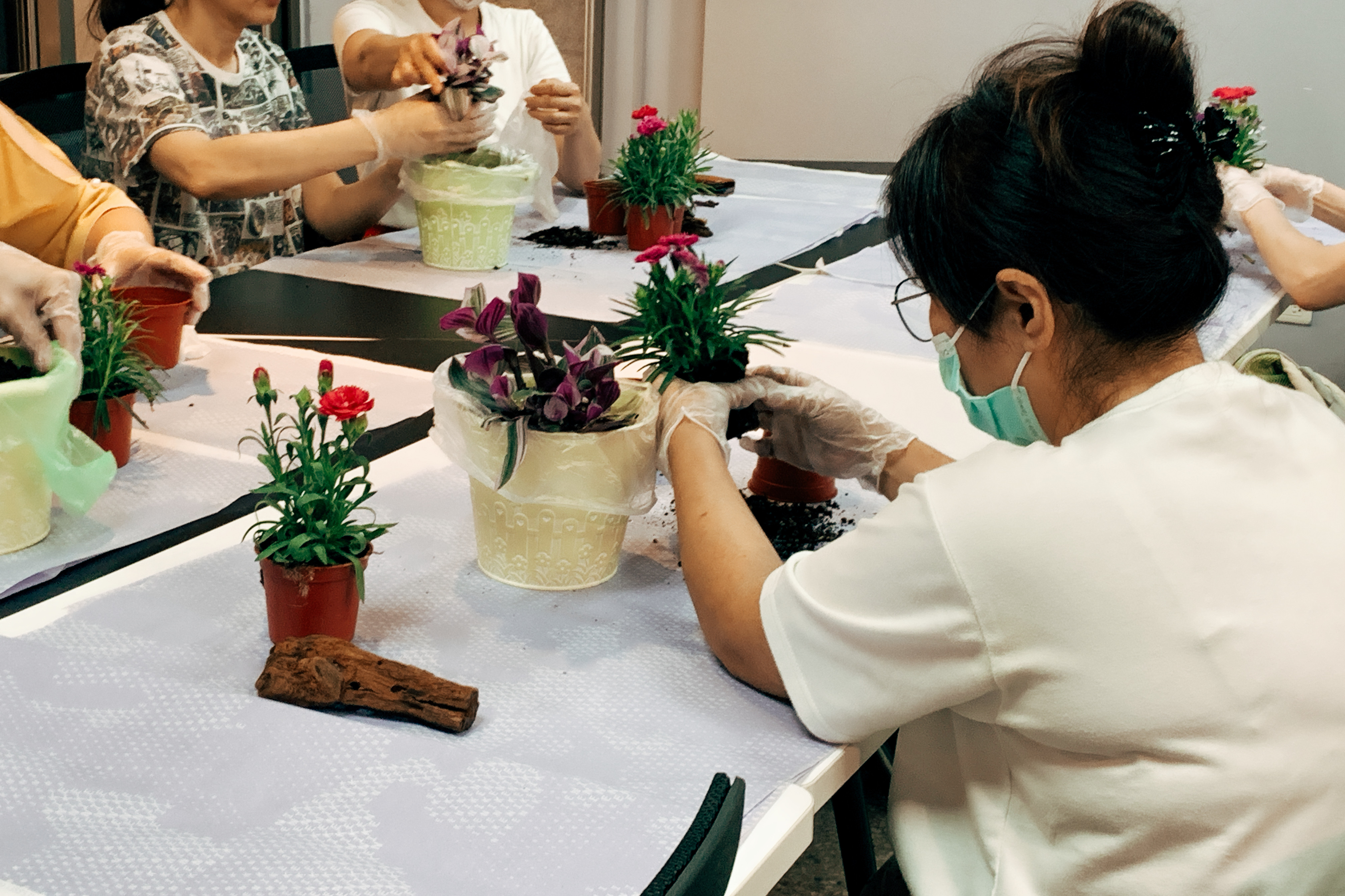 09.觸覺藝術~花藝植栽工作坊